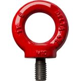 DELTA - Oogbout - M20x30 - 6 ton - Gewicht 0.45 kg