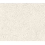 RT - Vliesbehang - Lichtbestendig - Droog Verwijderbaar - 10,05 m x 0,53 m