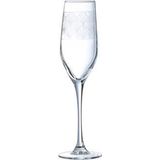 Luminarc Paradisio champagneglas - 16 cl - Set-4