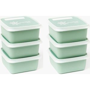 Amuse® | 6 x 500 ml Alaska BIO Diepvriesdoos Groen | 6 stuks | 70% gemaakt van suikerriet | Vershoudbakjes | voedsel bewaren