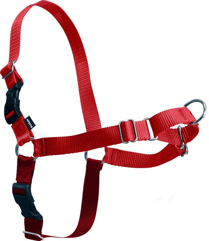 Easy Walk Anti Trek Tuig, De Riem en Harnas voor Trekkende Hond