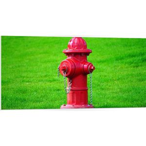PVC Schuimplaat - Rode Brandweerpaal in Groen Gras - 100x50 cm Foto op PVC Schuimplaat (Met Ophangsysteem)