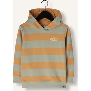 DAILY7 Hoodie Stripe Truien & Vesten Jongens - Sweater - Hoodie - Vest- Multi - Maat 116