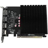 Biostar VN7313TG46 - Videokaart - NVIDIA GeForce GT 730 - 4 GB GDDR3 - 64 Bit - PCI Express 2.0