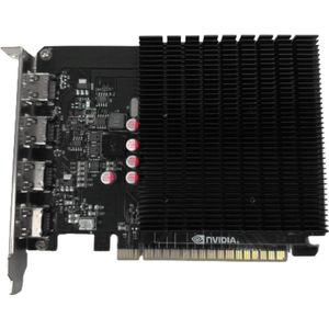 Biostar VN7313TG46 - Videokaart - NVIDIA GeForce GT 730 - 4 GB GDDR3 - 64 Bit - PCI Express 2.0