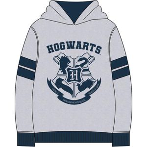 HARRY POTTER - HOODIE -GRIJS - COTTON BRUSHED - 7 JAAR