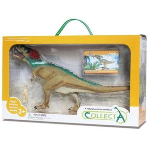 Collecta Prehistorie Tyrannosaurus Rex Deluxe Window Box 27 Cm