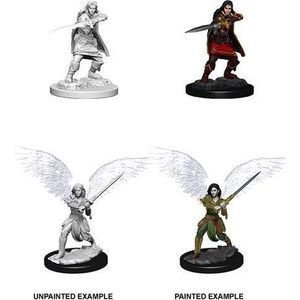 Aasimar Fighter, Female - Nolzurs