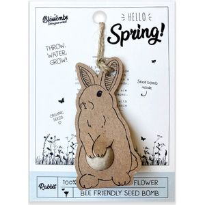 Blossombs Wenskaart met Zaadbom - Hello Spring! - Hanger met Bloembommetje