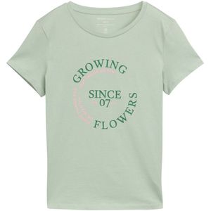 TOM TAILOR Denim T-shirt voor dames met print, 13632 - Fresh Mint Green, XXL