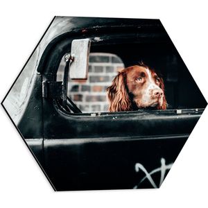 WallClassics - Dibond Hexagon - Bruin met Witte Hond achter het Stuur in Groene Kever - 40x34.8 cm Foto op Hexagon (Met Ophangsysteem)