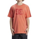 Dc Shoes Dcstar Pigment T-shirt Met Korte Mouwen Oranje L Man