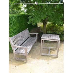 Venijnboom Taxus baccata 60-80 cm, 3x Haagplant