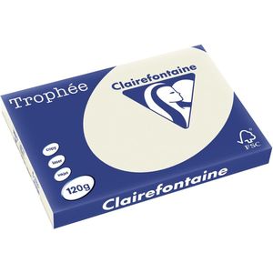 Clairefontaine Trophée Pastel, gekleurd papier, A3, 120 g, 250 vel, parelgrijs 5 stuks