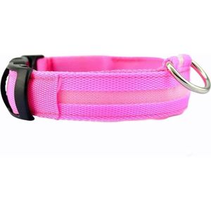 Lichtgevende Halsband LED Maat M 37 - 46 cm Hondenhalsband Puppy Riem - Roze Hond Dog Kat Kitten Cat