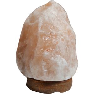 Himalaya Zoutsteen Lamp (1-2 kg)
