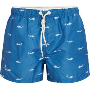 Pico Swim shorts