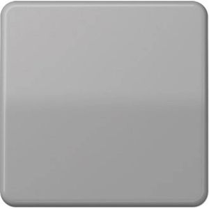 Jung CD500 Schakelelement/Centrale Plaat - CD590GR - E2V3P