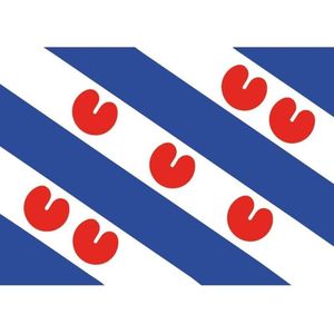 10x Friesland provincie vlag stickers 7.5 x 10 cm - Friesland thema decoratie
