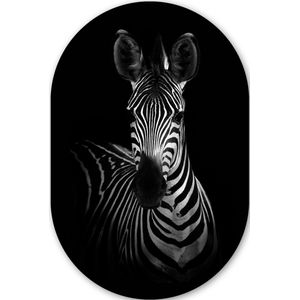 Zebra - Dieren - Safari - Zwart Kunststof plaat (5mm dik) - Ovale spiegel vorm op kunststof
