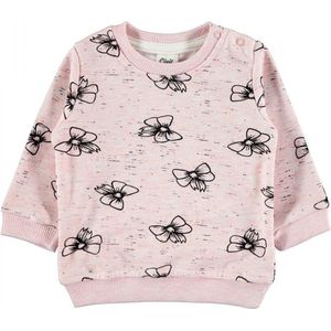 Baby/peuter sweater meisjes - Babykleding