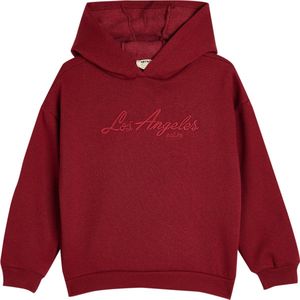 Capuchon kraag geborduurd Sweatshirt