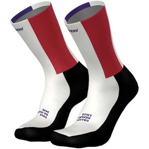 Santini Tdf Grand Depart Lille 2025 Sokken Veelkleurig EU 40-43 Man,Vrouw