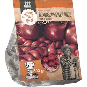 Uien Braunschweiger Rood (per 500 gram)