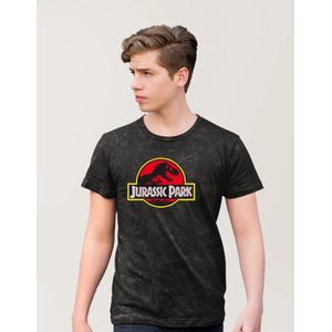 T-shirt Jurassic Park - logo classic - Stonewashed