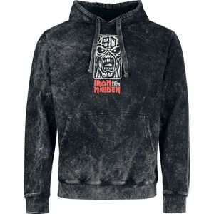 Iron Maiden Smoking Eddie Heren Trui met capuchon - antraciet - S