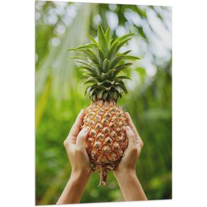 Vlag - Verse tropische Ananas in Mensenhanden - 80x120 cm Foto op Polyester Vlag