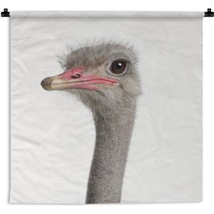 Wandkleed Animalprintshop - Struisvogel - Portret dierenprint kinderkamer Wandkleed katoen 60x60 cm - Wandtapijt met foto