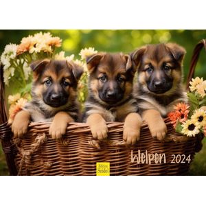 DiverseGoods Puppy Honden Premium Kalender 2023 - DIN A3 Wandkalender - Hondenkalender met Prachtige Foto's - Ideaal voor Hondenliefhebbers en Een Jaar Vol Schattige Pups