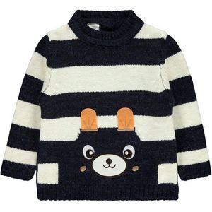 Trui baby/peuter jongens