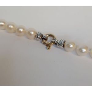 Schitterend Parel collier – Akoya parel 10-11 mm - collier 46 cm – 14k gouden sluiting – uitverkoop - van €1810,= voor €1295,=