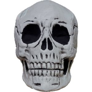 Fjesta© Halloween schedel - 20cm x 27cm x 22cm