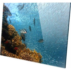 PLEXIGLAS WANDDECORATIE OCEAAN 120 X 80CM