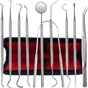 Tandheelkundig gereedschap, 10-stuks plakeverdrijder uit roestvrij staal voor tandheelkundig gereedschap voor het verwijderen van plak en kaatsteen, tandverzorgingskit met plakreiniger, kaatsteker, tanden- en tongkrabber voor tandartsen, individuen e
