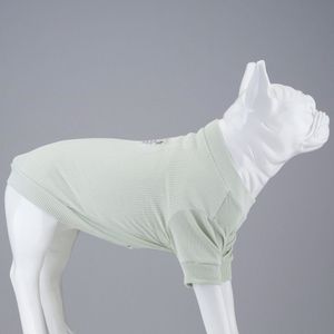 Lindo Dogs - Hondenshirt - Hondenkleding - Tshirt voor honden - My Raisin Cake - Groen - Maat 1