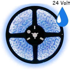 5 meter blauw led strip waterproof - IP65 - 60Leds/m - 24V