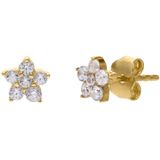 Lucardi - Oorknopjes - 14 Karaat Goud - Geelgouden - Met Zirkonia
