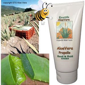 Aloe Vera Propolis Creme - 80% pure aloë - met propolis en kruidenextracten - 185g - Bijzonder effectief - Bij droge huid, doorliggen, beschadiging - bescherming.