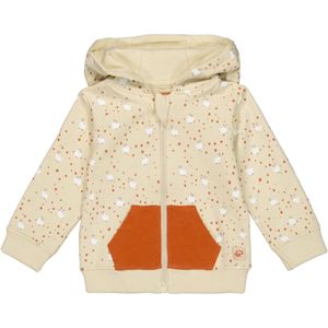 4President-Vest Rocky-Beach Sand-Zand