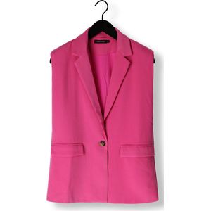 Ydence Pants Lima Blazers Dames - Roze - Maat XS