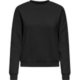 Jacqueline de Yong Trui Jdyasta Life L/s Emb Sweat Jrs 15361282 Whitecap Grey/emb On Sleeves Dames Maat - S