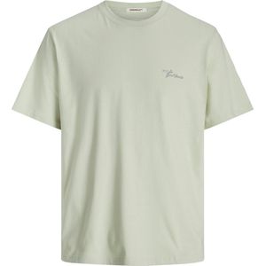 JACK&JONES PLUS JORALMERIA BACK TEE SS CREW NECK PLS Heren T-shirt - Celadon Tint