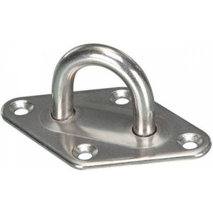 2 X RVS Plaat met oog