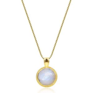 Vergulde 925 Sterling Zilveren Medaille Hanger Ketting met Echte Stenen