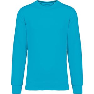 Biologische unisex sweater merk Native Spirit Light Turquoise - XXL