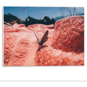 Forex - Bruine Vlinder in Roze Natuur - 40x30cm Foto op Forex